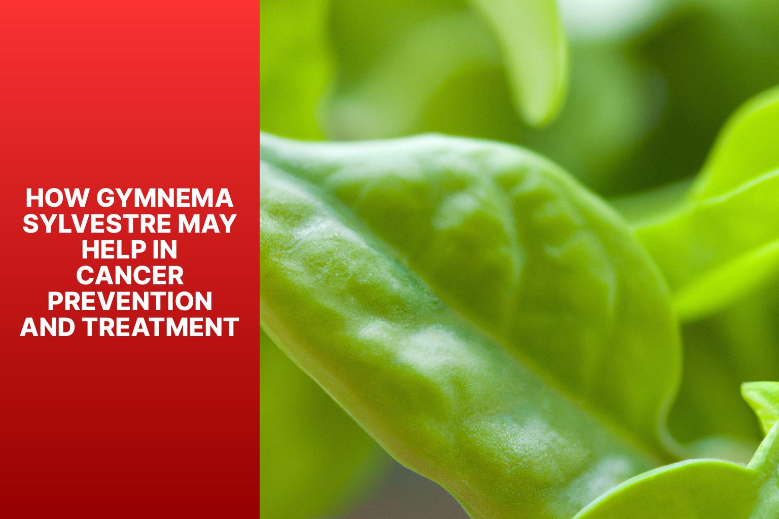 How Gymnema Sylvestre May Help in Cancer Prevention and Treatment - "Gymnema Sylvestre and Cancer: Exploring the Connection" 