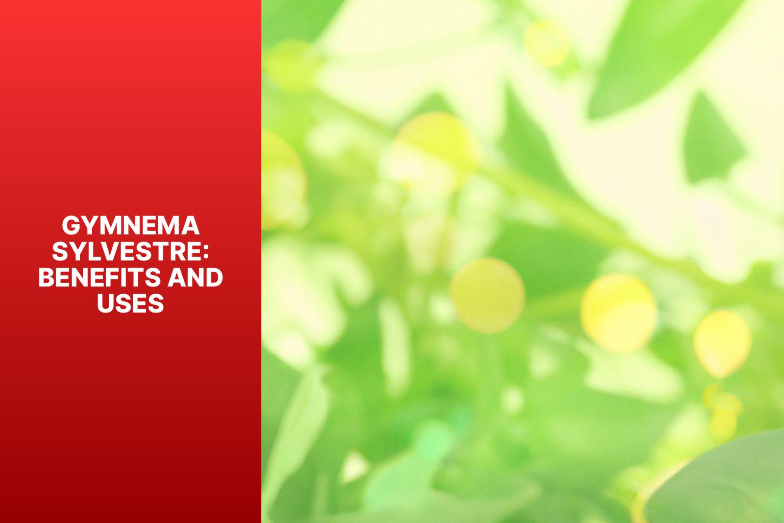 Gymnema Sylvestre: Benefits and Uses - "Gymnema Sylvestre vs Berberine: Comparing Two Natural Supplements" 