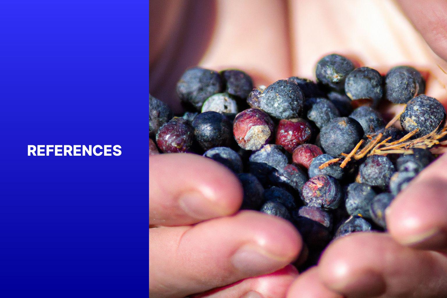 References - The Health Benefits of Juniper Berries: Explore the various health benefits of consuming juniper berries, including their effects on digestion, immunity, and more. 