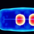 Examining the Correlation Between Serum 25-hydroxyvitamin D Levels and ...